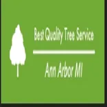 Pro Tree Service Houston Tx