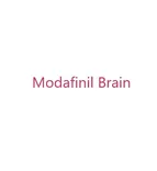 Modafinil Brain