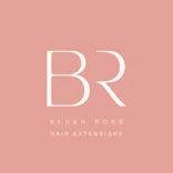 Blush Rose Hair Extensions
