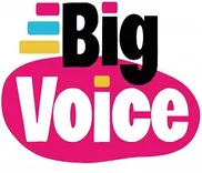 Big Voice Ltd