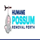 Humane Possum Removal Perth