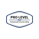Pro Level LLC