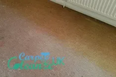 Carpet Clenze UK