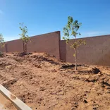 Sotelo's Concrete and Masonry