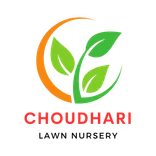 Chaudhari Lawn Nursery