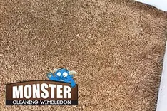 Monster Cleaning Wimbledon