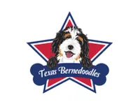 Tx Bernedoodles