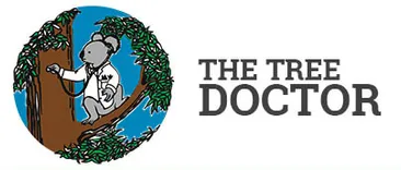 The Tree Doctor Service