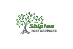 Shipton Trees Services : Tree Surgeon Brockham