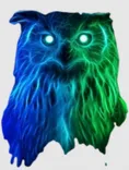 Night Owls Razors