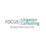 Focus Litigataion Consulting ,LLC