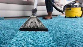 City Rug Cleaning Melbourne