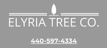 Elyria Tree Co Tree Service