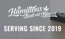 HAMILTONS BUD AND BLOOM