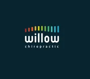 Willow Chiropractic -Yate