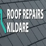 Roof Repairs Kildare, Roofing Contractors Kildare, Roofers Kildare