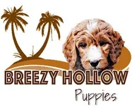 Breezy Hollow Puppies