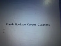 Fresh Horizon Carpet Cleaners