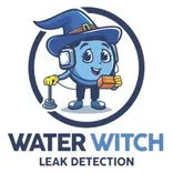 Water Witch Leak Detection