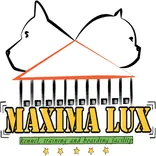 Pansion za pse MAXIMA LUX Beograd