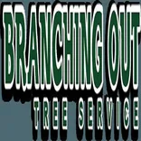 Tree Cutting & Trimming Brentwood