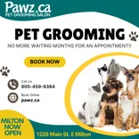 Pawz - Milton's Best Pet Groomers