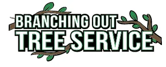 Tree Service & Removal Mineola