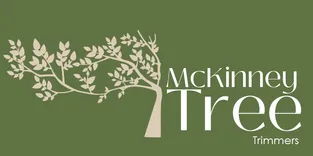 Mckinney Tree Trimmers