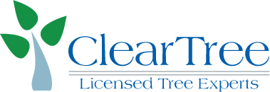 Tree Removal Harford County | ClearTree, LLC