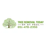 Tree Removal Today of St Paul