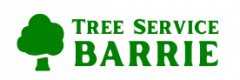 Barrie Tree Service