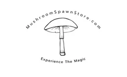 Mushrooms Pawn Store