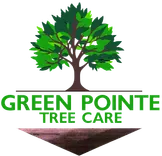 Green Pointe Tree Care