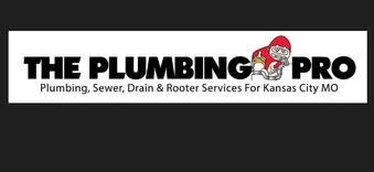 The Plumbing Pro