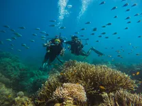 Seahawks Scuba