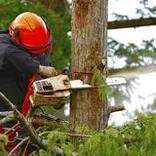 Sky View Tree Services