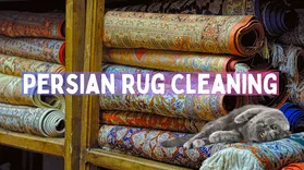 Persian Rug Cleaning