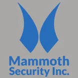 Mammoth Security Inc. New Britain