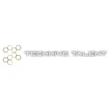 Techhive Talent