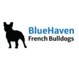 Bluehaven French Bulldogs