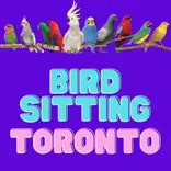 Bird Sitting Toronto