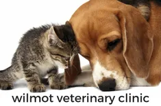 Wilmot Veterinary Clinic