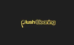 Plush Cleaning