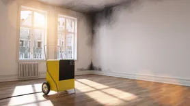 Guardian Mold Removal