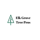 Elk Grove Tree Pros