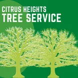 Citrus Heights Tree Service