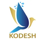 Kodesh Pro Wash