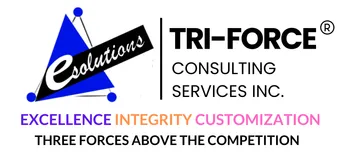 Tri-Force Consulting Services