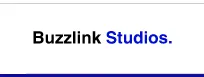 Buzzlink Studios