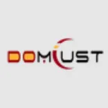 Domlust Butt Plug Sex Store